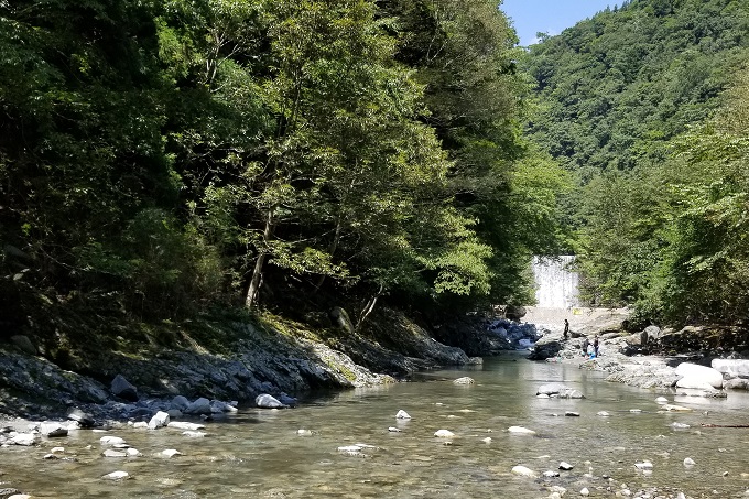 丹沢で川遊び：ぶなの湯の川原の上流